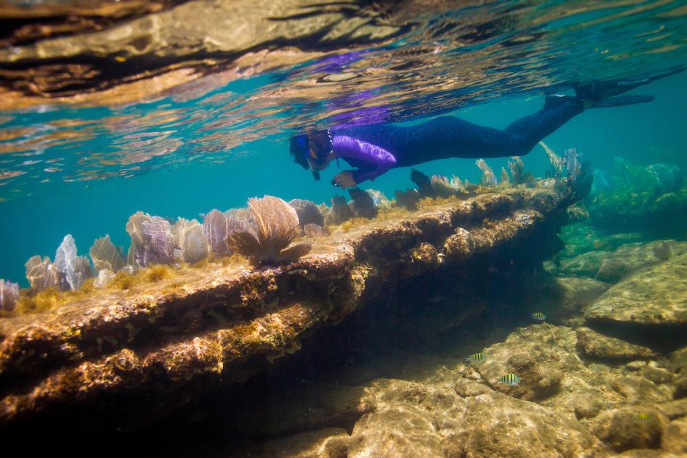 Coral reef Issues, Honduras